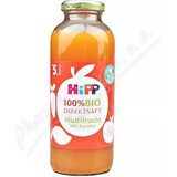 HiPP 100% Succo di frutta biologico con carota 1×330 ml, succo di frutta