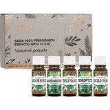 Saloos Set benessere natalizio di oli essenziali 100% naturali 5x10 ml, set di oli essenziali