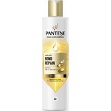 PANTENE MOLECUL.BOND REP.SHP BIOT.PRO-V 250ML 1×250 ml, shampoo per capelli danneggiati