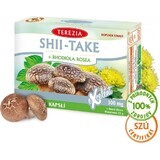 TEA THEREZIA SHII-TAKE + RHODIOLA ROSEA 1×60 cps, integratore alimentare