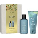 Set regalo per la cura del corpo Scottish Fine Soaps - alghe 1×1set