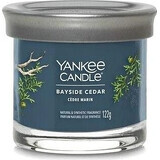 Yankee Candle Signature candela piccola Bayside Cedar 1×122 g Bayside Cedar 1×122 g, candela profumata