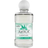 AMICA GAFRRA LOZIONE 1×60 ml, lozione