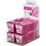 Bolsius Aromatic 2.0 Votive 48mm Peony, scented candle 1×1 pc, scented candle