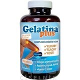 TEREZIA Gelatina Plus 1×360 cps, nutrizione articolare