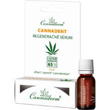 Cannaderm CANNADENT siero rigenerante 1×5 ml, siero rigenerante