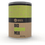 GYMBEAM VANAVITA VANAVITA BIO GREENS MIX 1×300g, mélange de super aliments verts