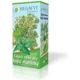 MEGAFYT Tisana per l'allattamento. 1×30 g (20×1,5 g), tisana al biancospino