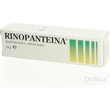 RINOPANTEIN Nasal ointment 1×10 g, ointment