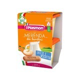 Plasmon Postre de leche, chocolate, después de 6 meses, 2 x 120 g