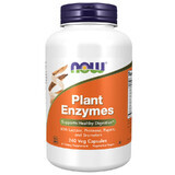 Now Foods Plant Enzyme, pflanzliche Enzyme, 240 Kapseln