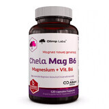 Olimp Chela-Mag B6, 120 capsules