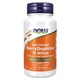 Now Foods Berry Dophilus, 50 compresse masticabili