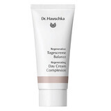 Dr Hauschka Crema da giorno rigenerante e illuminante, 40 ml