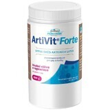 Vitar Veterinae Artivit Forte amestec de pulbere 600 g