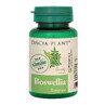 Boswellia, 60 tablets, Dacia Plant