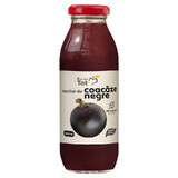 Blackcurrant nectar Bun de Tot, 300 ml, Dacia Plant