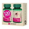 Package Echinacea Forte, 60+60 cpr, Dacia Plant