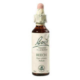 Picaturi Beech, Original Bach, fag,  20 ml, Rescue Remedy