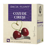 Tè all coda di ciliegia, 50 g, Dacia Plant 