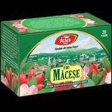 Tè Maceşe, 20 bustine, Fares