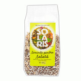 Salad seeds, 100 g, Solaris