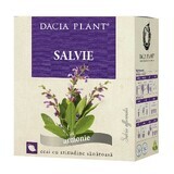Tè alla Salvia, 50 g, Dacia Plant