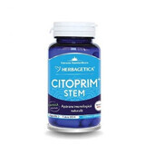 Cytoprim + Stem, 60 capsules, Herbagetica