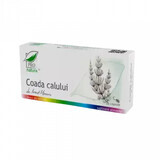 Equiseto, 30 capsule, Pro Natura