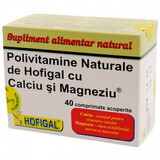 Polivitaminici naturali con calcio e magnesio, 20 capsule, Hofigal