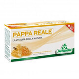 Specchiasol Pappa Reale Plus Integratore Alimentare 12 Flaconcini Da 10 ml