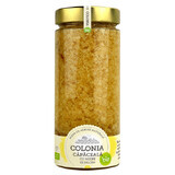 Coprire con miele di acacia biologico, 770 g, Colonia