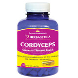 Cordyceps, Fungo Tibetano Forte, 120 capsule, Herbagetica 