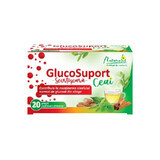 Naturalis GlucoSuport Tè x 20 pl