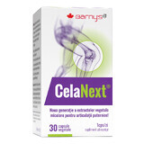 CelaNext, 30 vegetarian capsules, Good Days Therapy