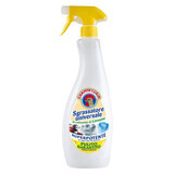 CHANTECLAIR Soluzione sgrassante universale limone, 750 ml