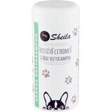 Sheila Shampoo secco per cani alla menta, 120 ml