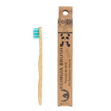 Spazzolino da denti in bambù per bambini, 2+ anni, morbido, blu-verde, 1 pezzo, Gingia