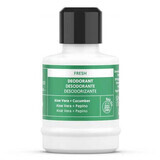 Ricarica Deodorante per il corpo con aloe vera Fresh, 50 ml, Equivalenza