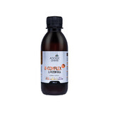 B-Complex Forte Liposomal, liquido, 200 ml, Adelle Davis