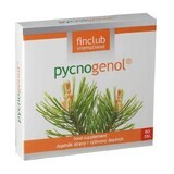 Fin Pycnogenol, 60 compresse, Finclub