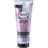 Shampoo protettivo invernale professionale Balea, 250 ml