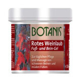 Gel di estratto di vite rossa Botanis, 500 ml, Glancos