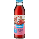 Succo di frutti rossi Babylove ECO, da 1 anno, 500 ml