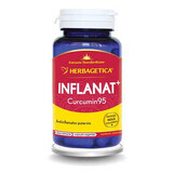 Inflanate Curcumin95, 60 capsule, Herbagetica