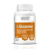 L-glutammina in polvere, 120 g, Zenyth