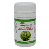Lingua di cervo 300 mg, 60 capsule, Natura Plant