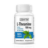 L-teanina 100 mg, 30 capsule, Zenyth
