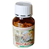 Melcalcin, 100g, Istituto Apicol