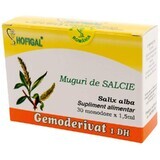 Germogli di salice Gemoderivat, 30 monodosi, Hofigal